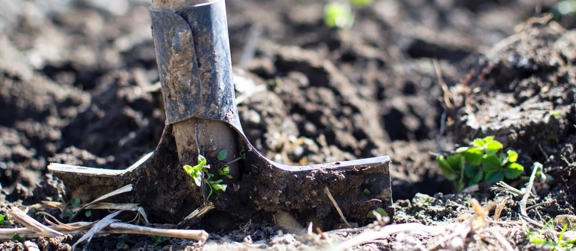 shovel in dirt